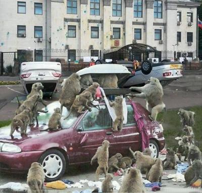 Прикрепленное изображение: 10340158_887314394615304_2636634088801627687_n.jpg